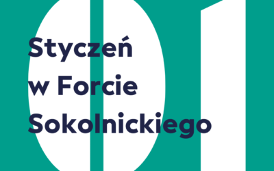 Styczeń w Forcie Sokolnickiego